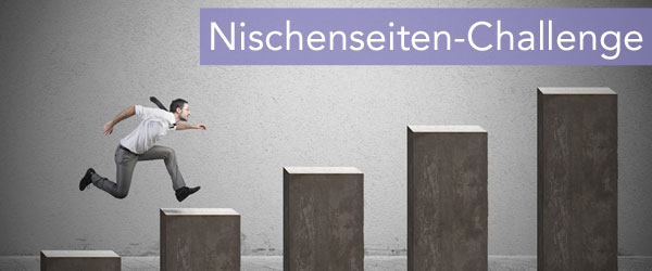 Erster Testartikel & Werbeeinblendungen – Nischenseiten-Challenge: Die 6. Woche